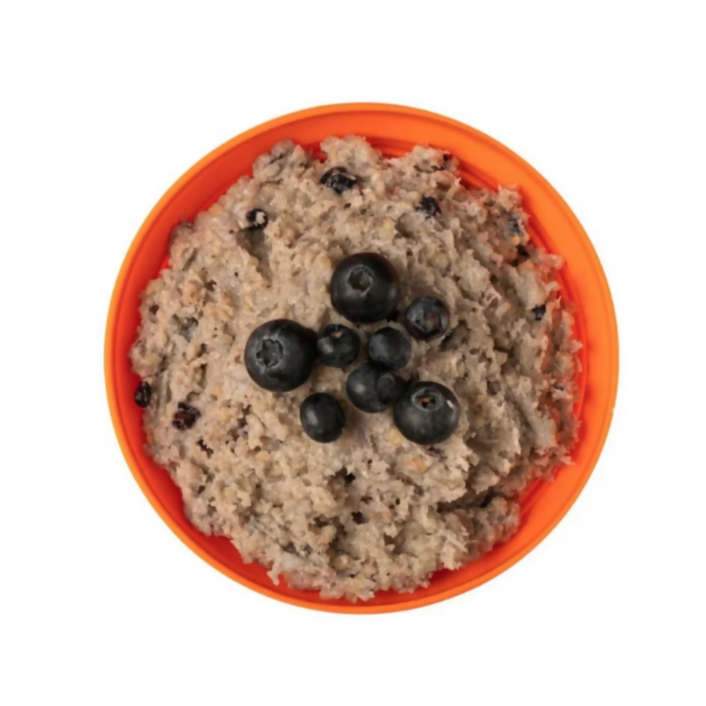 Porridge with Blueberries 