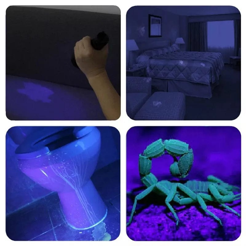 Lampe de poche UV LED