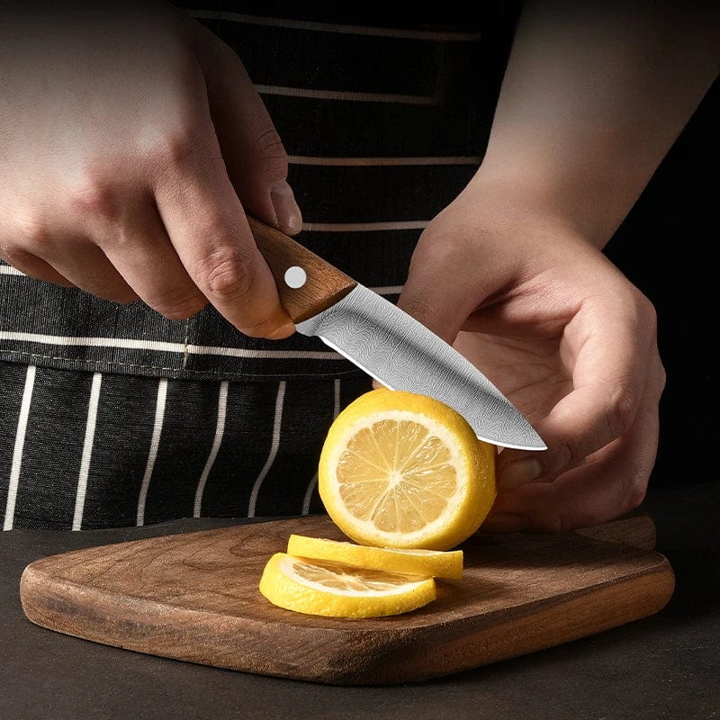 Petit couteau multifonctionnel en acier inoxydable, couteau à fruits tranchant, couteau d'office